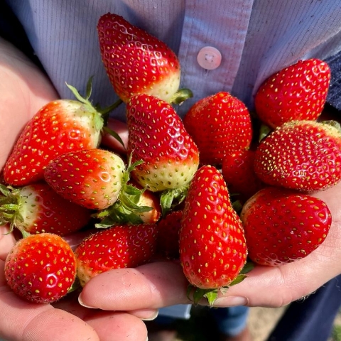 Urban Farm Supply Vision & Mission